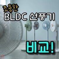 조용한 BLDC 선풍기 고르기